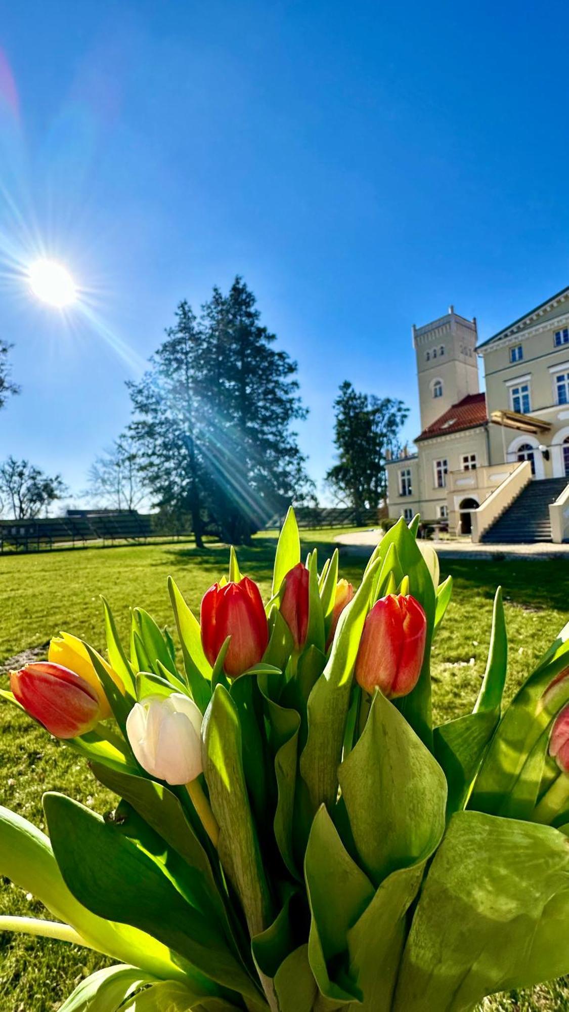 Hotel Spa Wieniawa Rekowo  Eksteriør billede
